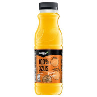 Cappy Pomeranč 100% 330ml PET