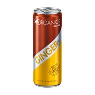 Red Bull Ginger Ale 250ml P